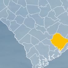 The state of South Carolina, with outlined county borders; a cell tower.