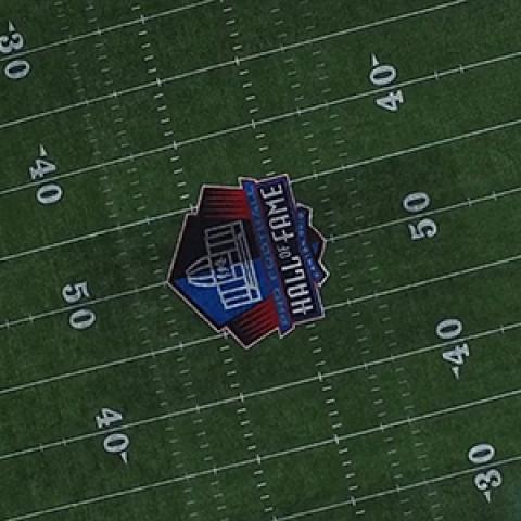 Overhead view of the Pro Football Hall of Fame stadium in Canton , Ohio.